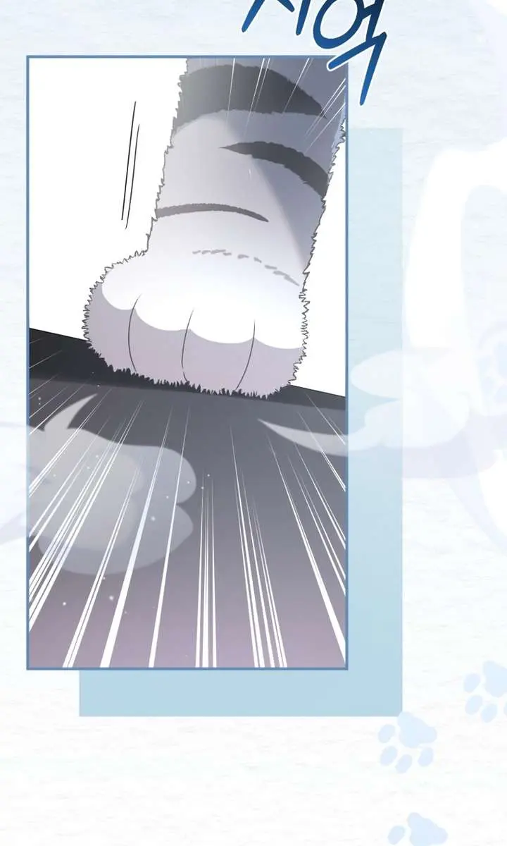 The White Tiger Clan's Baby Cotton Ball Chapter 10 Page 33