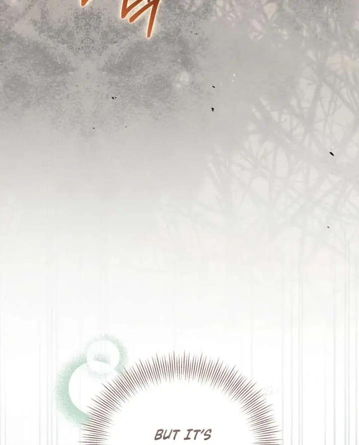 The White Tiger Clan's Baby Cotton Ball Chapter 11 Page 46