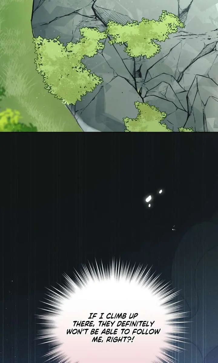 The White Tiger Clan's Baby Cotton Ball Chapter 17 Page 18