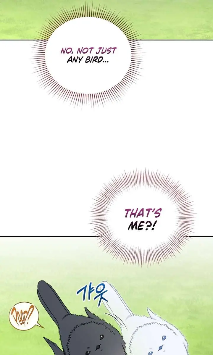 The White Tiger Clan's Baby Cotton Ball Chapter 17 Page 49