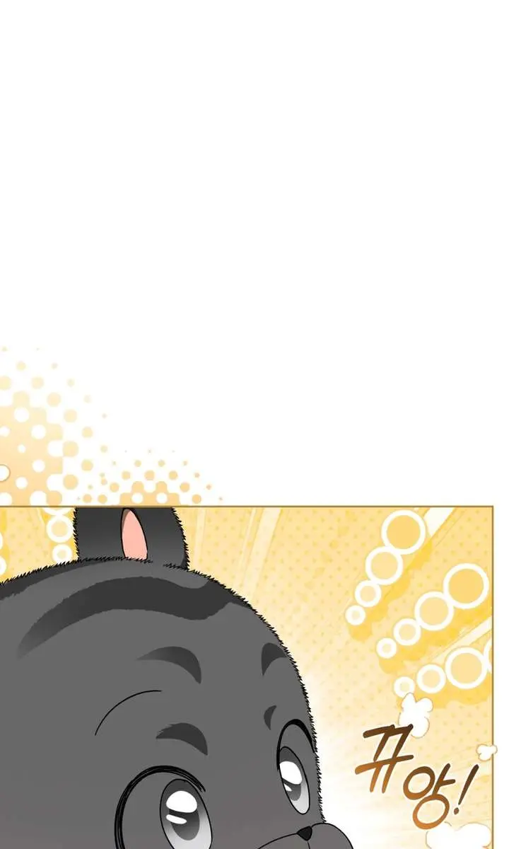 The White Tiger Clan's Baby Cotton Ball Chapter 17 Page 60