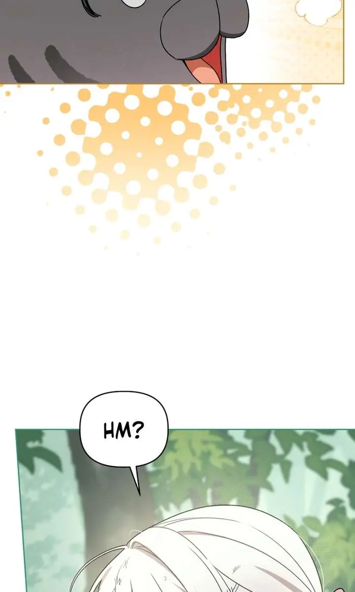 The White Tiger Clan's Baby Cotton Ball Chapter 17 Page 61