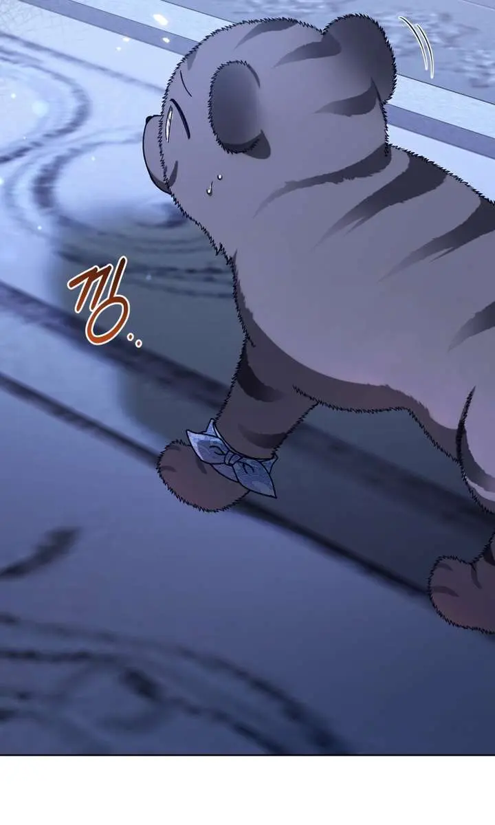 The White Tiger Clan's Baby Cotton Ball Chapter 19 Page 93