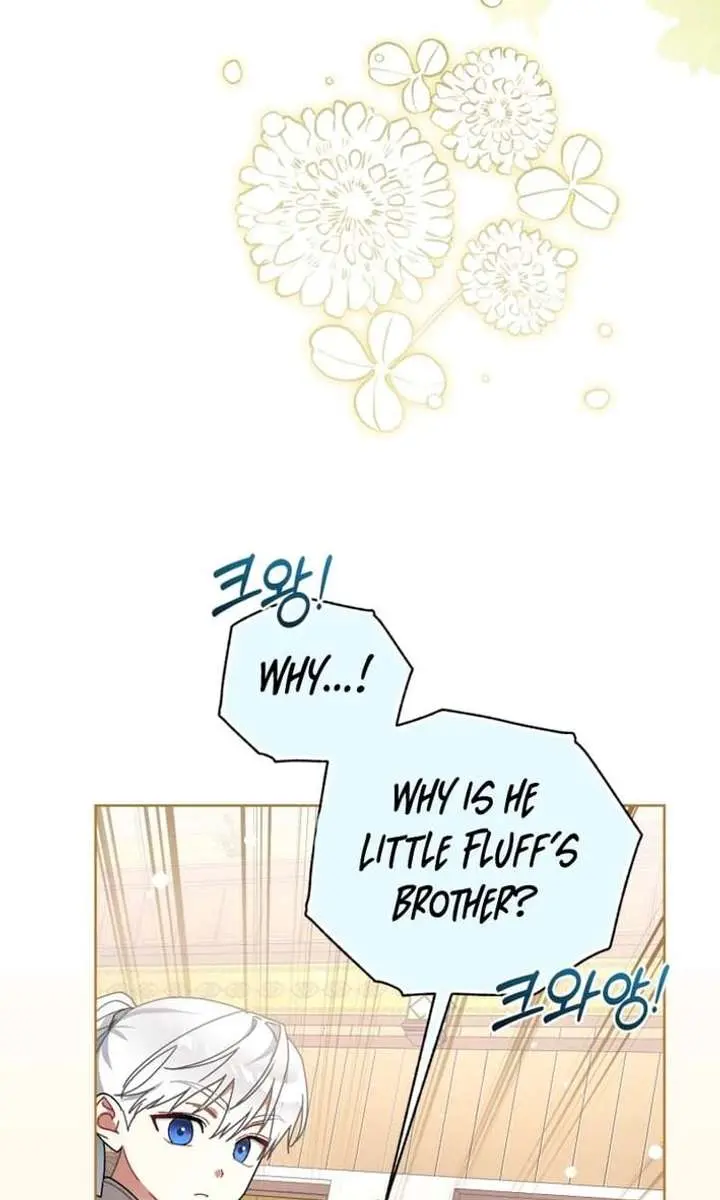 The White Tiger Clan's Baby Cotton Ball Chapter 20 Page 37