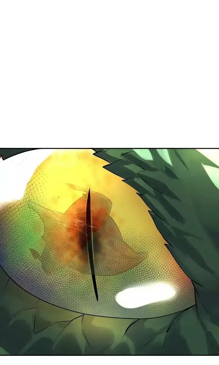 Volcanic Age Chapter 48 Page 31