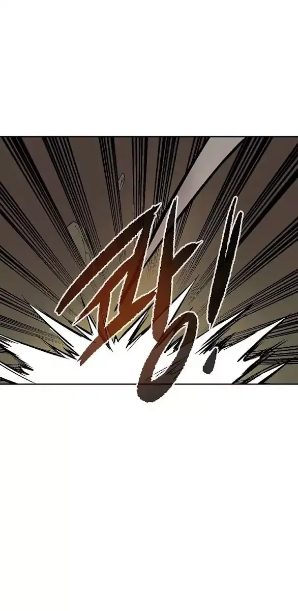 Volcanic Age Chapter 66 Page 47