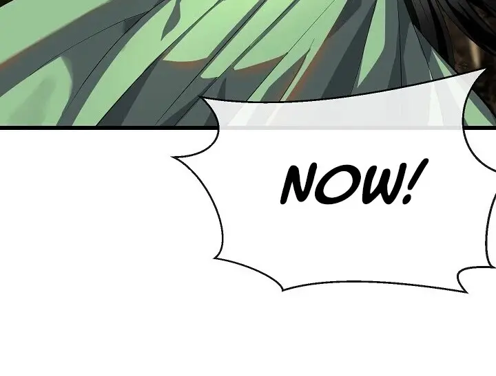 Volcanic Age Chapter 169 Page 74