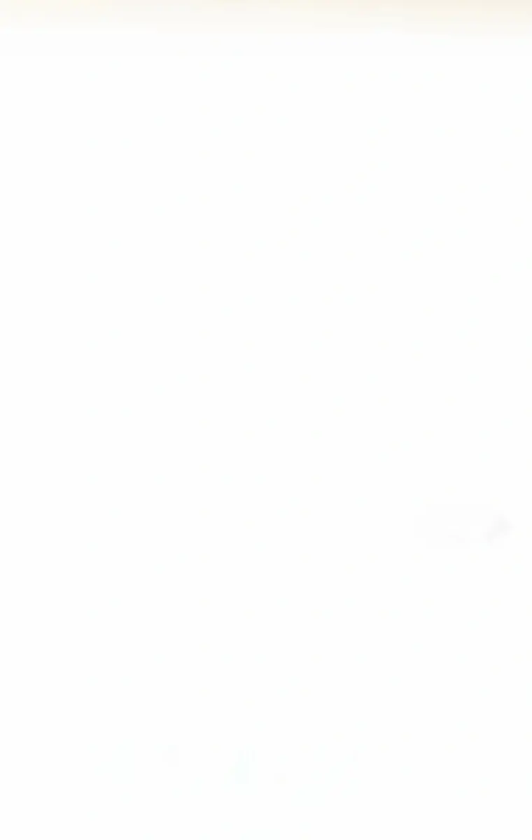 Volcanic Age Chapter 303 Page 148