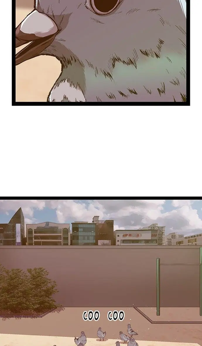 Weak Hero Chapter 107 Page 5