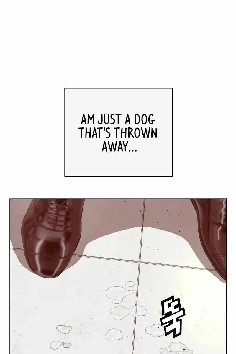 Weak Hero Chapter 263 Page 241