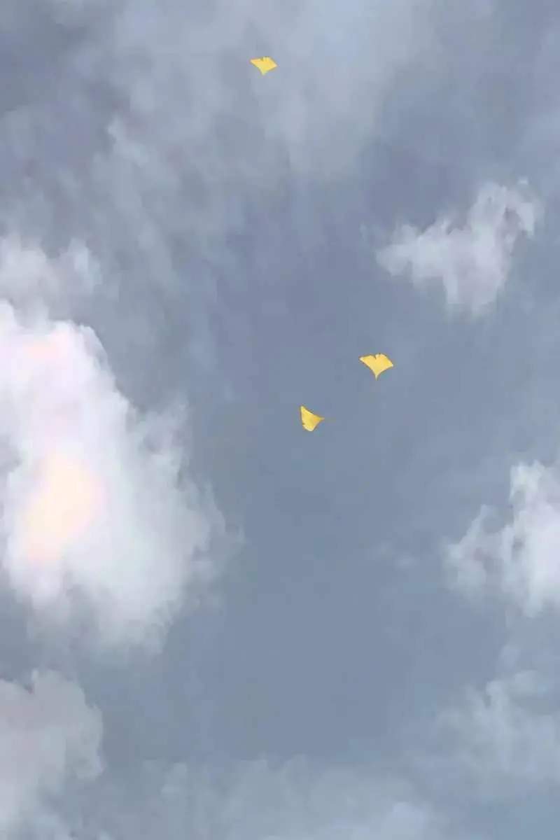 Weak Hero Chapter 267 Page 297