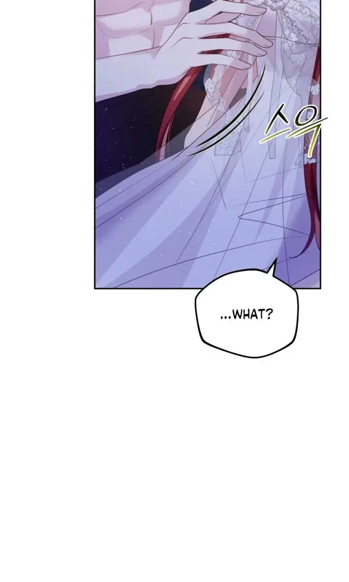 When Two Villains Meet Chapter 47 Page 102