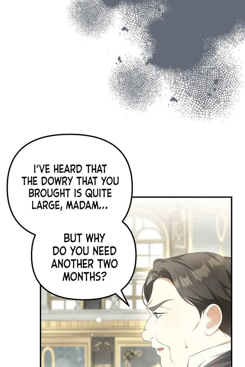 Why Are You Obsessed With Your Fake Wife? Chapter 11 Page 3