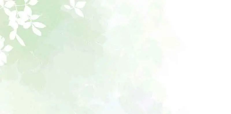 Why Are You Obsessed With Your Fake Wife? Chapter 11 Page 61