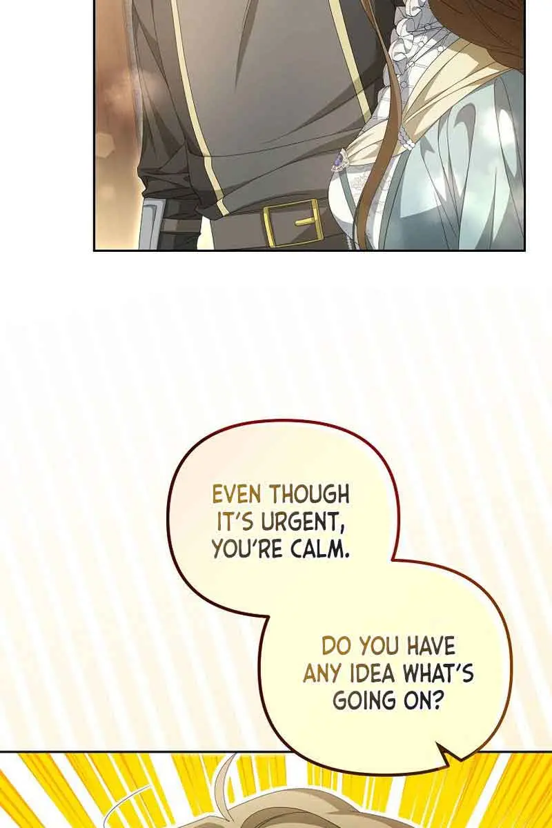 Why Are You Obsessed With Your Fake Wife? Chapter 13 Page 95