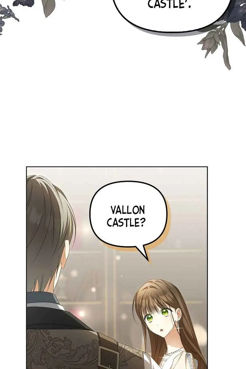 Why Are You Obsessed With Your Fake Wife? Chapter 14 Page 25