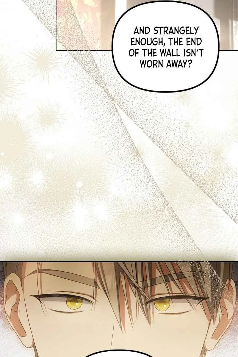 Why Are You Obsessed With Your Fake Wife? Chapter 18 Page 34