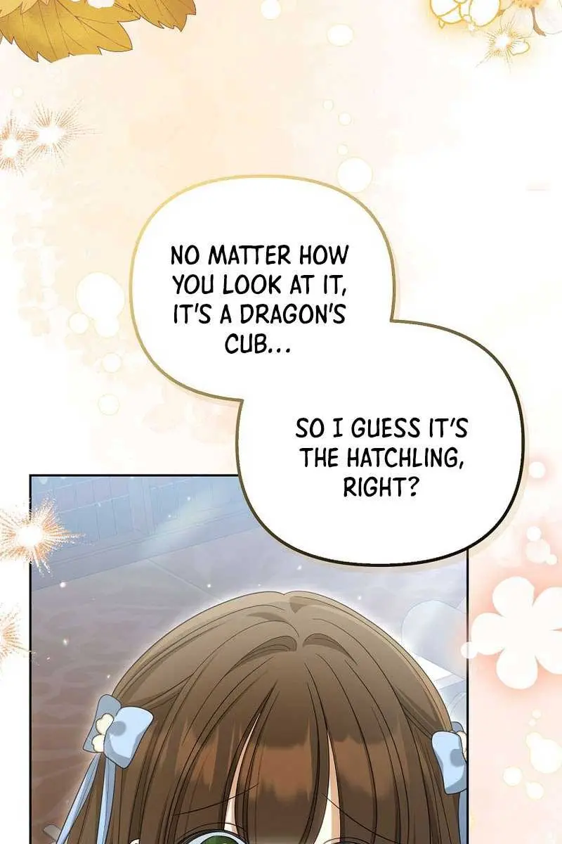 Why Are You Obsessed With Your Fake Wife? Chapter 40 Page 5