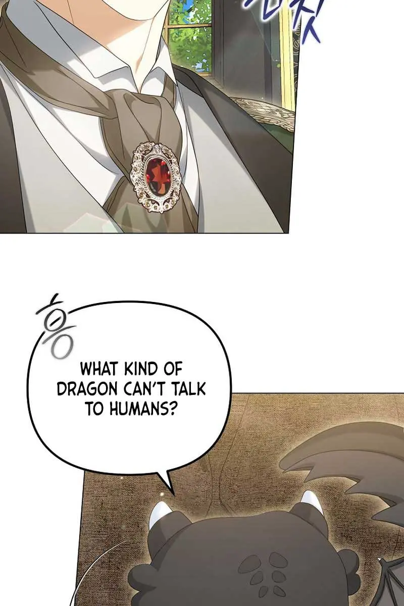 Why Are You Obsessed With Your Fake Wife? Chapter 42 Page 6