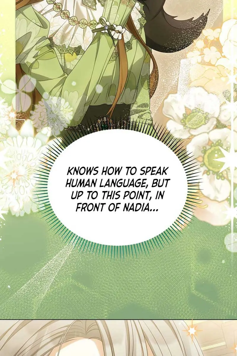 Why Are You Obsessed With Your Fake Wife? Chapter 42 Page 15