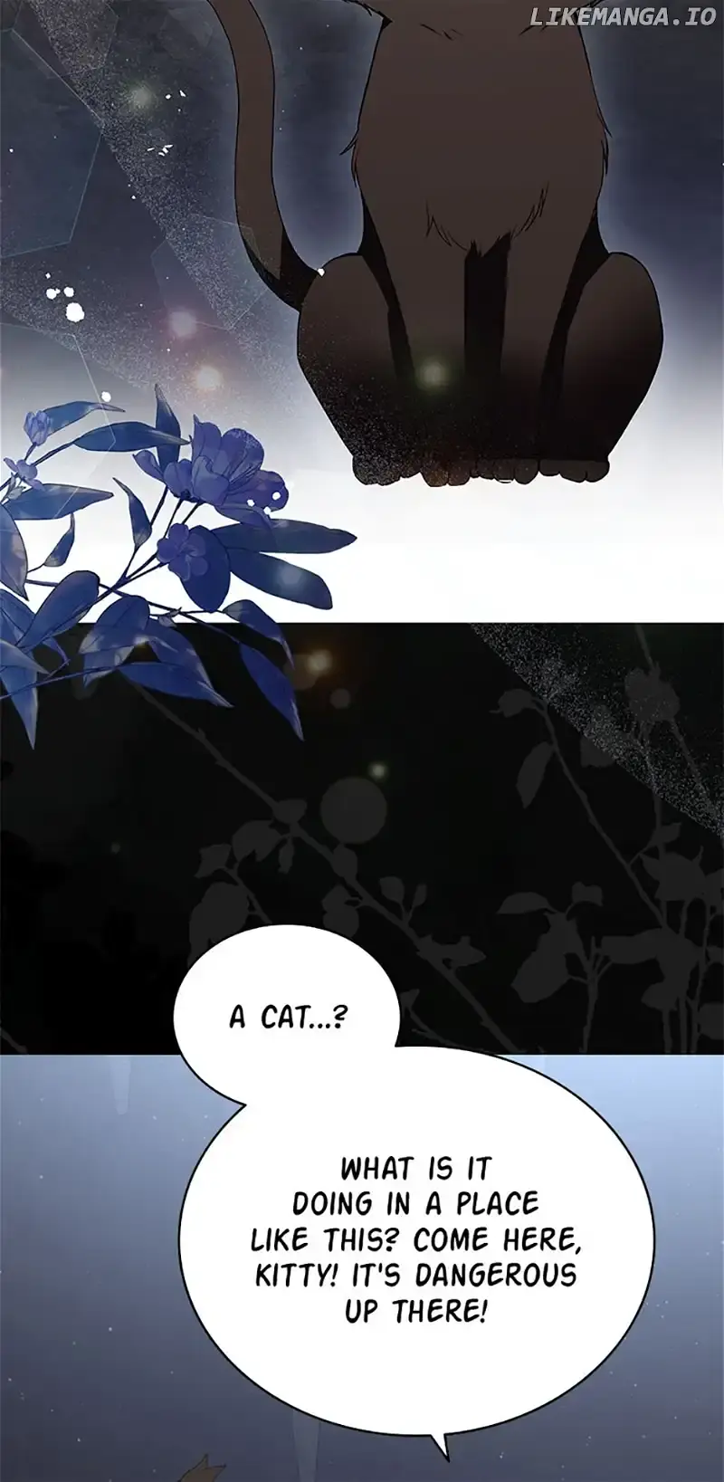 Why Are You Obsessed With Your Fake Wife? Chapter 52 Page 66