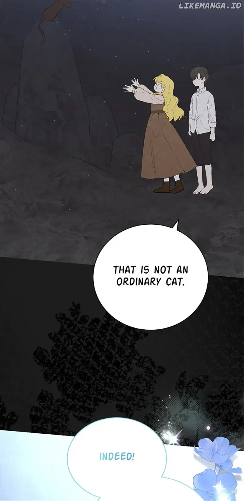 Why Are You Obsessed With Your Fake Wife? Chapter 52 Page 67