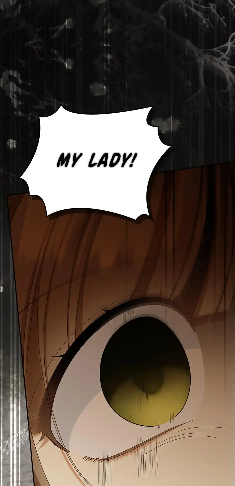 Why Are You Obsessed With Your Fake Wife? Chapter 71 Page 85
