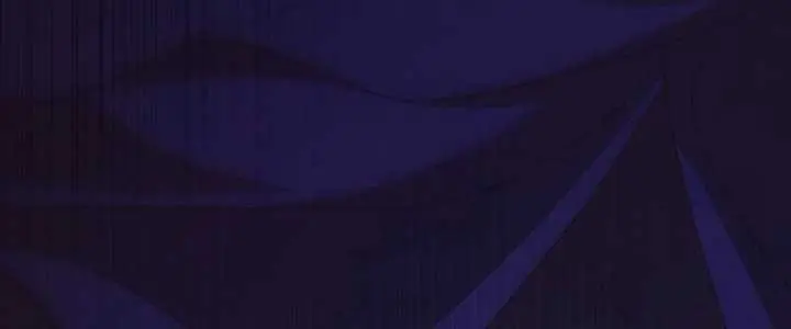 Why Are You Obsessed With Your Fake Wife? Chapter 81 Page 43