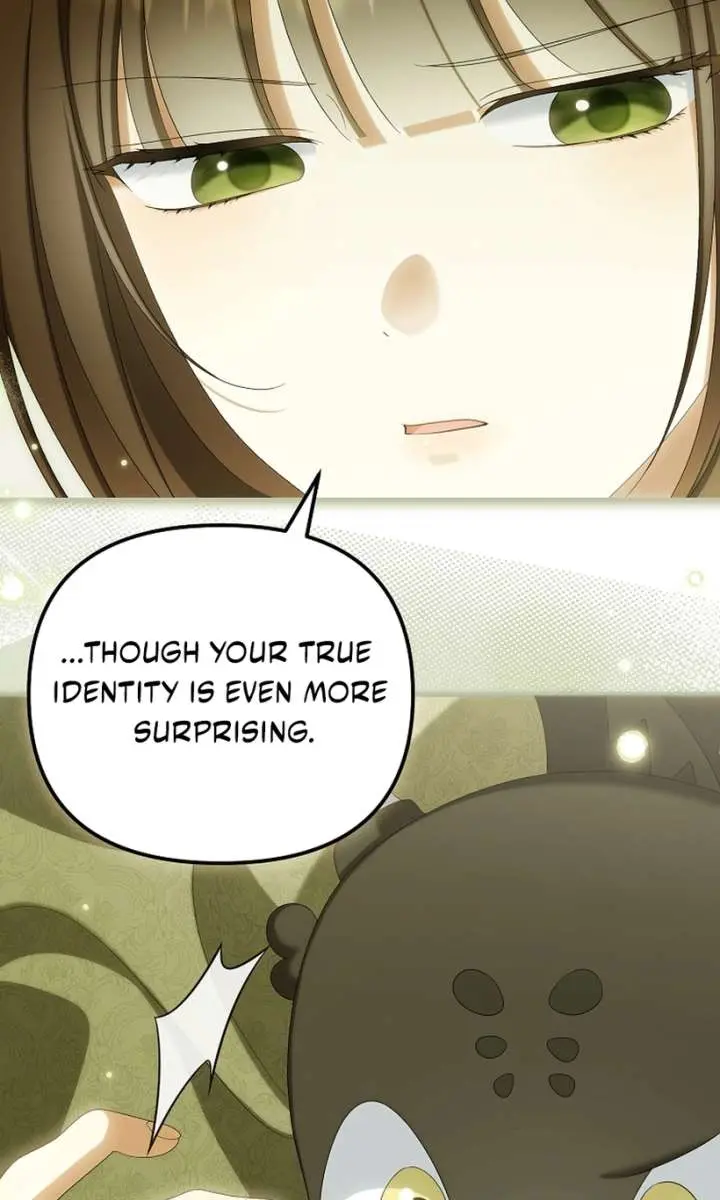 Why Are You Obsessed With Your Fake Wife? Chapter 95 Page 5