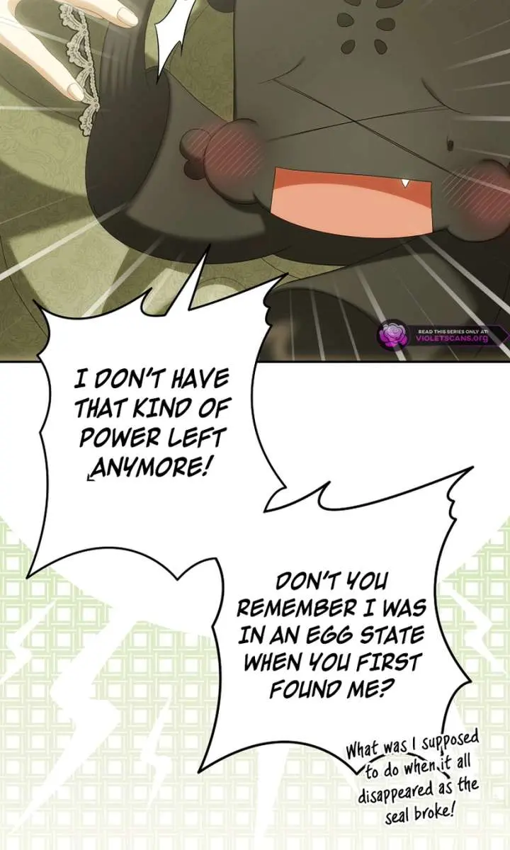 Why Are You Obsessed With Your Fake Wife? Chapter 95 Page 9