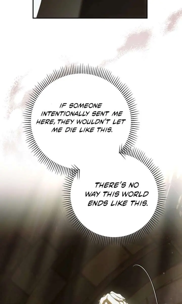 Why Are You Obsessed With Your Fake Wife? Chapter 95 Page 92